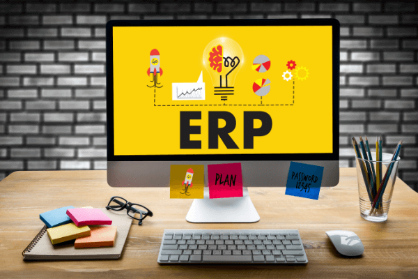 image erp investissement 3