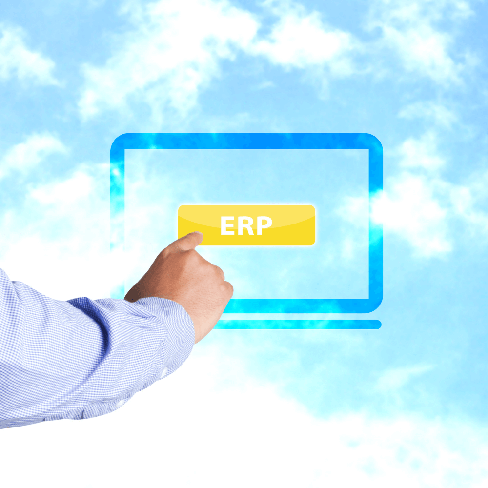 image erp 10