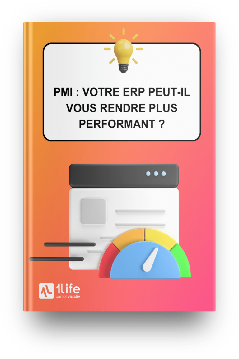 livre blanc pmi erp